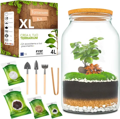 Kit Terrarium XL Fai da Te - Crea il Tuo Giardino in Bottiglia - PYEF CRAFTS